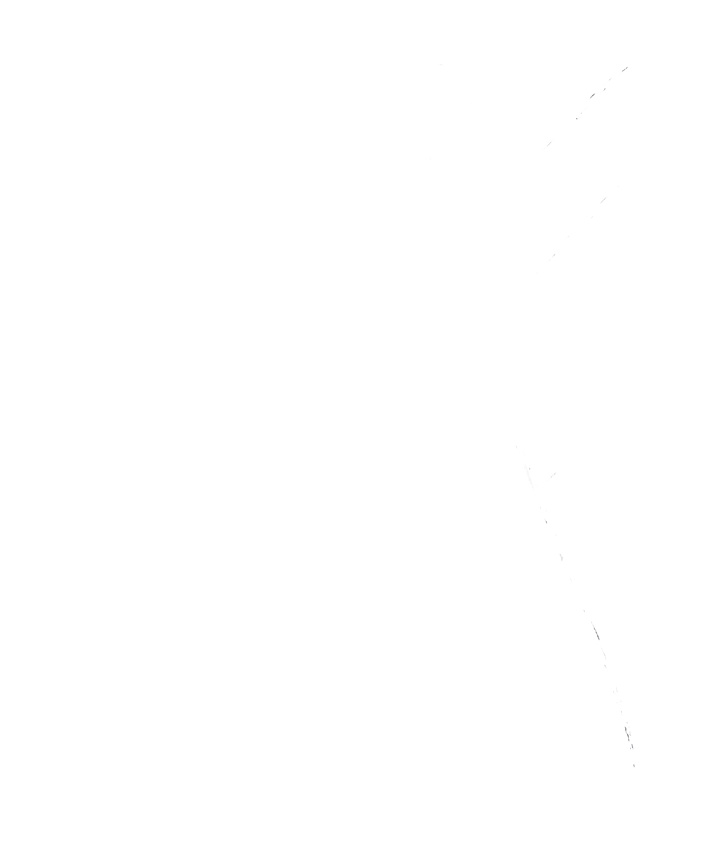 Rohit Malla signature
